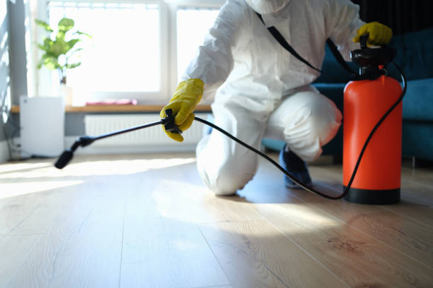 Reliable Infectious Disease Decontamination contractor in Homeland, CA by Trauma Clean Pros